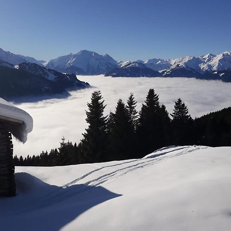 Haus Viktoria Lejlighed Mayrhofen Eksteriør billede